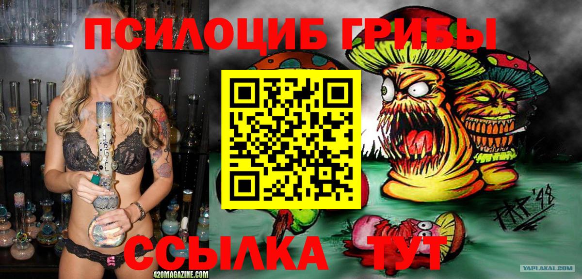 Псилоцибиновые грибы Cubensis Вольск