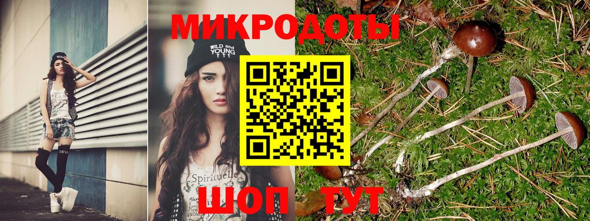 Вольск  Псилоцибиновые грибы GOLDEN TEACHER  где можно купить   Вход с VPN  Галлюциногенные грибы мицелий 